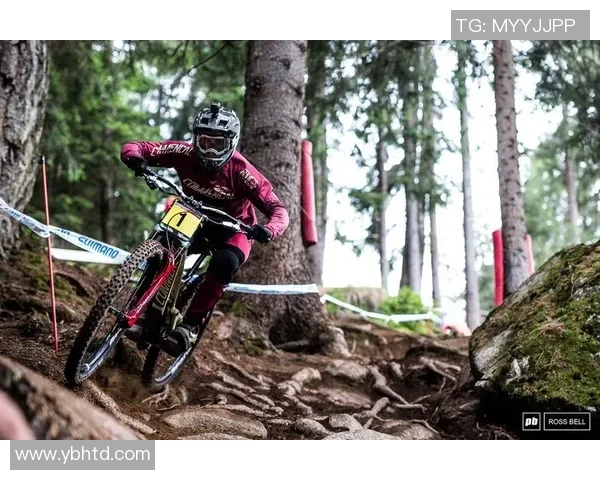 比拉尔库利巴利：新星崛起引发足坛关注与期待