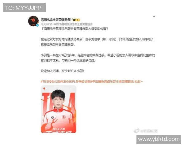 王者荣耀赛季节奏排名分析TES战队表现创新高引发关注