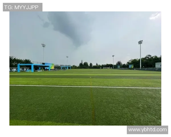 赛后分析：西安飞盘队与南京飞盘队个人能力对比与表现探讨