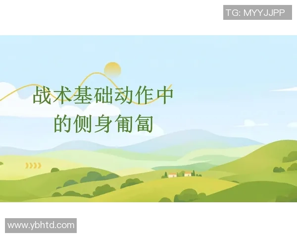 西安极限运动队快攻战术解析与实战应用探讨